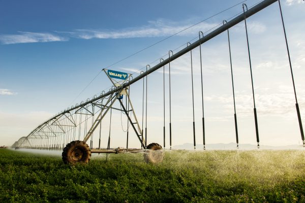 AGSENSE 365 - управление орошением — изображение 6