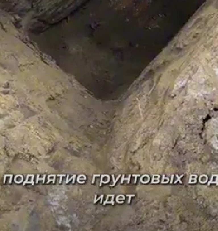 Как засоленность почвы и грунтовые воды уничтожают урожай ?