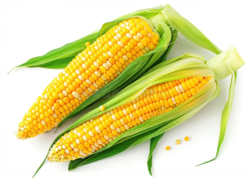 кукуруза.webp