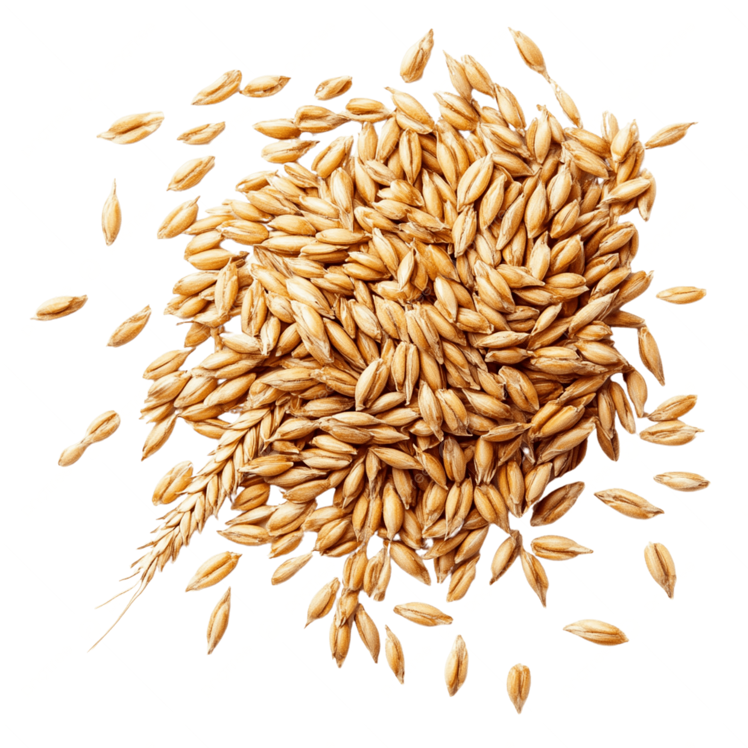 пшеница.png