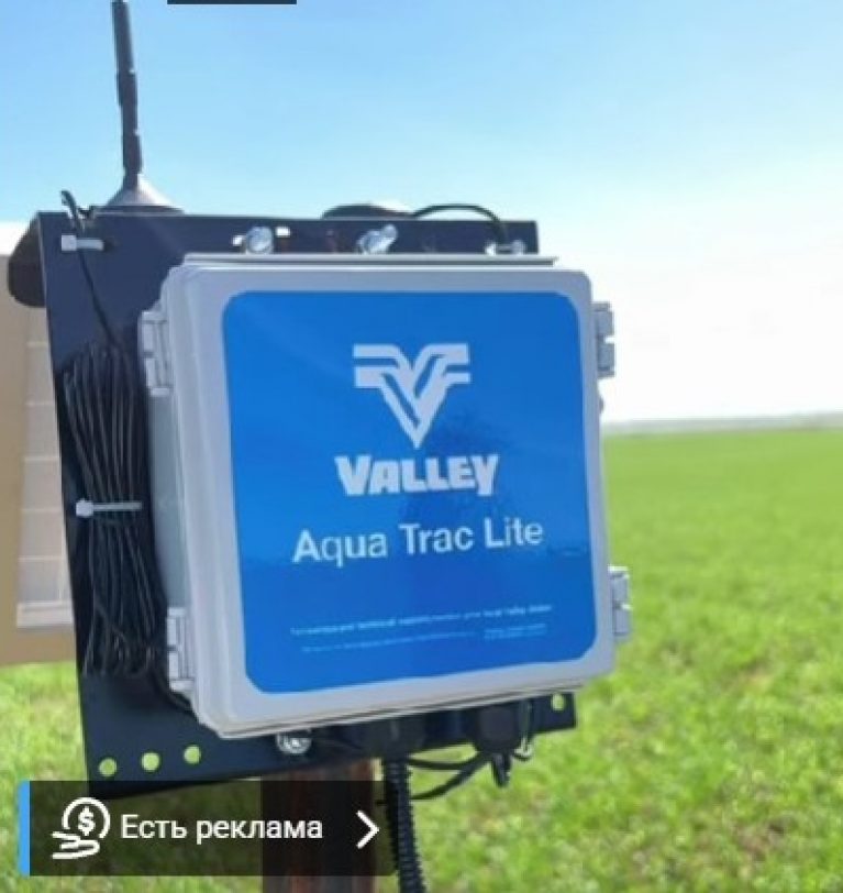 Как определить влажность почвы?