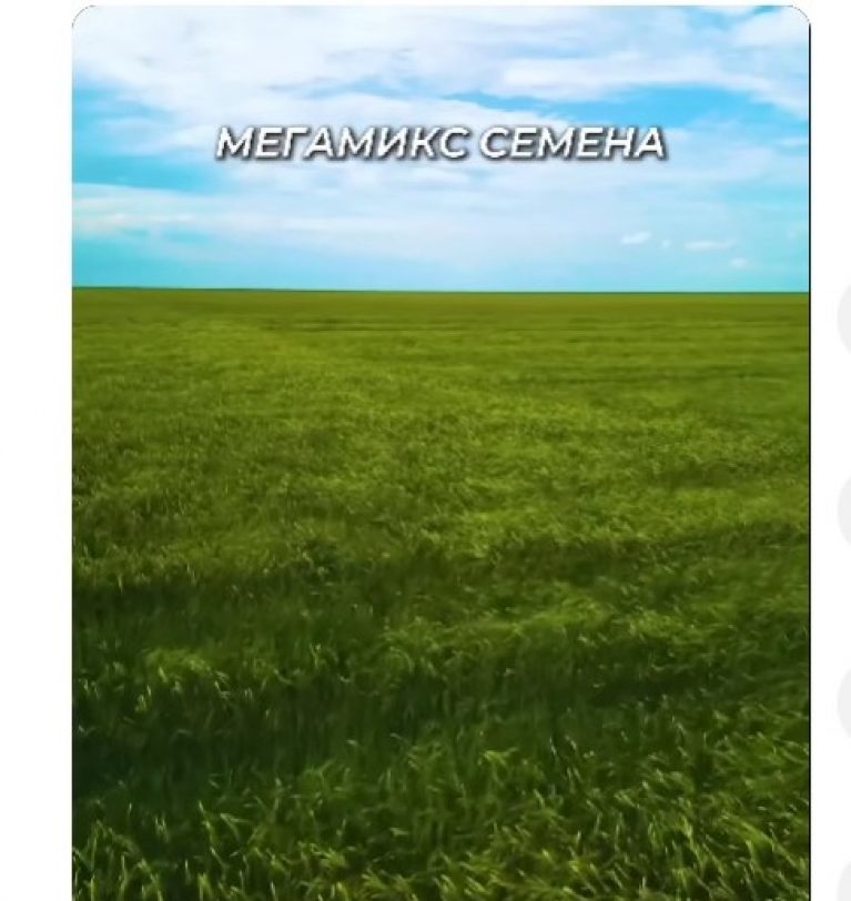 Полноценное питание всходов. МЕГАМИКС семена